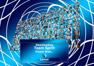 米兰官方网站-球迷盛典：现场氛围与体育精神的融合，球迷知识